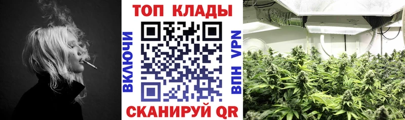 Где продают наркотики Мичуринск А ПВП  COCAIN  МЕФ  Галлюциногенные грибы  Каннабис 