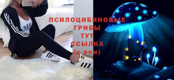 спиды Богородицк