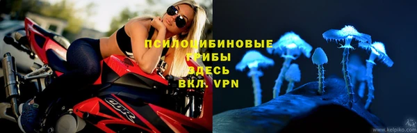 спиды Богородицк