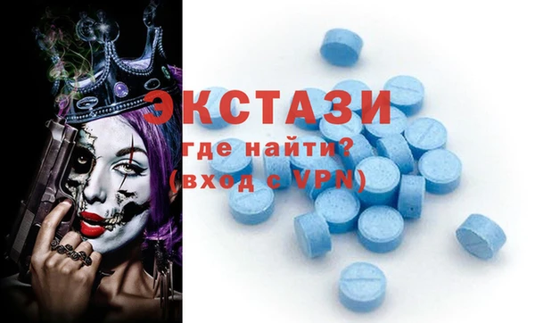 спиды Богородицк