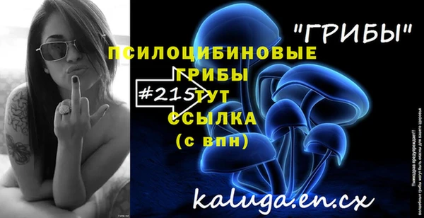 сатива Осташков